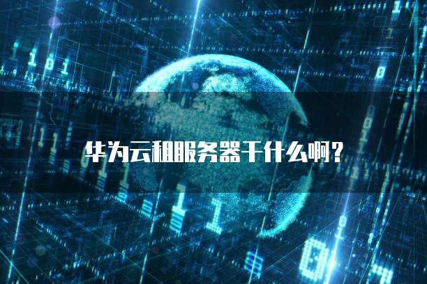 华为云租服务器干什么啊?
