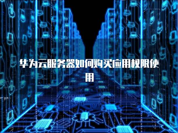 华为云服务器如何购买应用权限使用