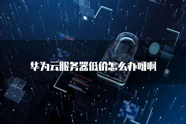 华为云服务器低价怎么办呀啊