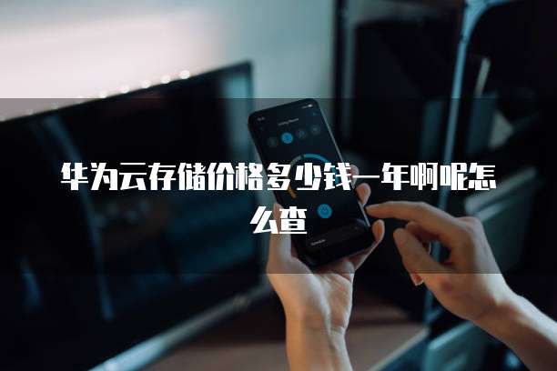 华为云存储价格多少钱一年啊呢怎么查