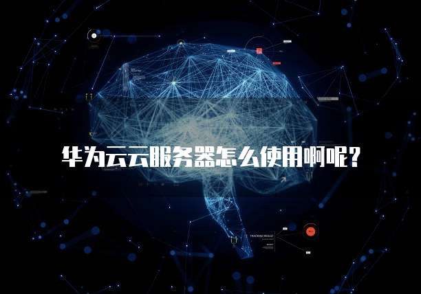华为云云服务器怎么使用啊呢？