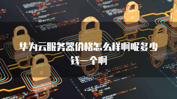 华为云服务器价格怎么样啊呢多少钱一个啊