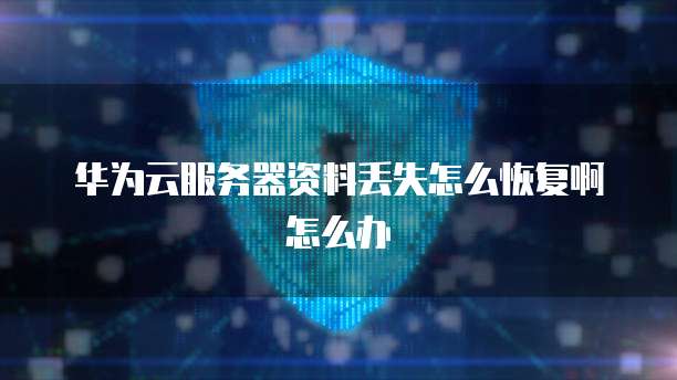华为云服务器资料丢失怎么恢复啊怎么办