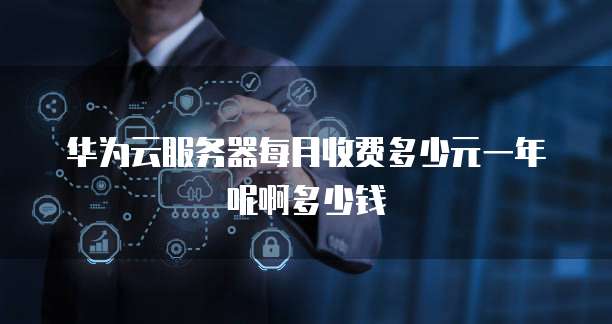 华为云服务器每月收费多少元一年呢啊多少钱