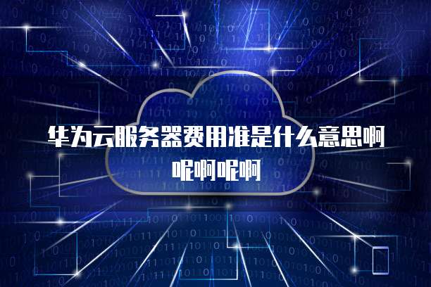 华为云服务器费用准是什么意思啊呢啊呢啊