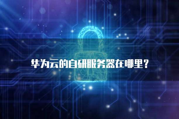 华为云的自研服务器在哪里？