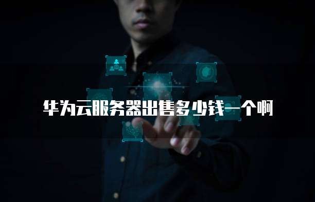 华为云服务器出售多少钱一个啊