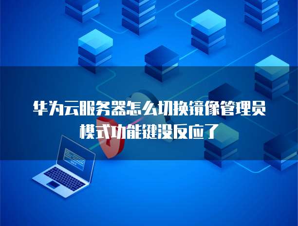 华为云服务器怎么切换镜像管理员模式功能键没反应了
