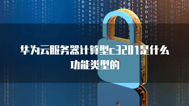 华为云服务器计算型c3201是什么功能类型的