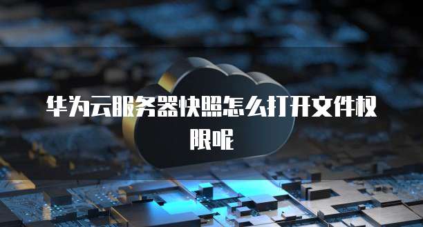 华为云服务器快照怎么打开文件权限呢