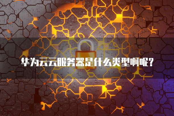华为云云服务器是什么类型啊呢?