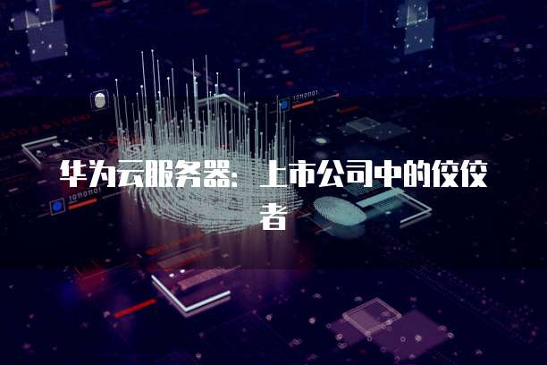 华为云服务器:上市公司中的佼佼者