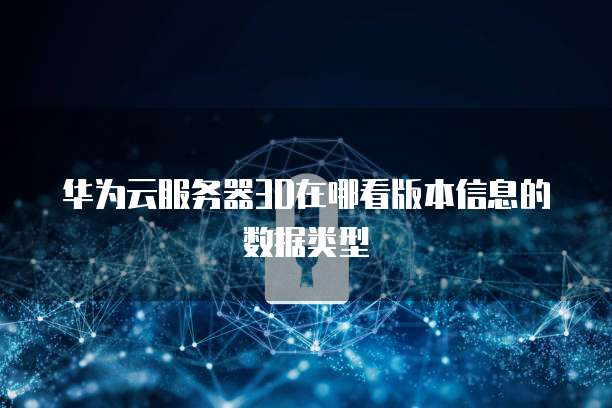 华为云服务器3D在哪看版本信息的数据类型