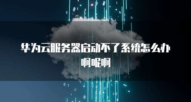 华为云服务器启动不了系统怎么办啊呢啊