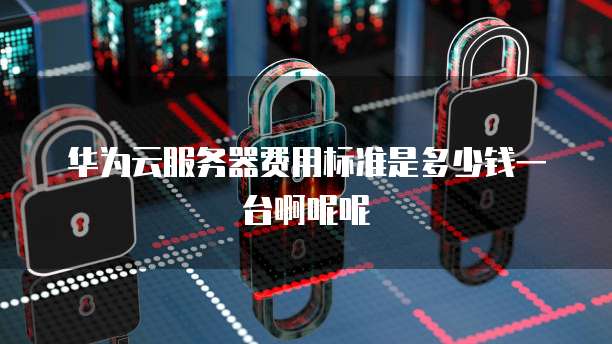 华为云服务器费用标准是多少钱一台啊呢呢