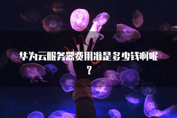 华为云服务器费用准是多少钱啊呢?