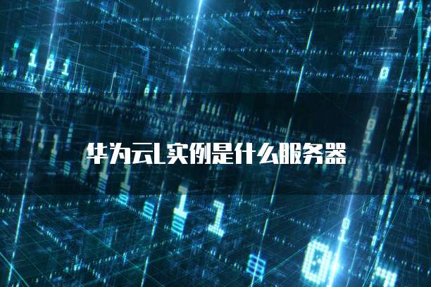 华为云L实例是什么服务器