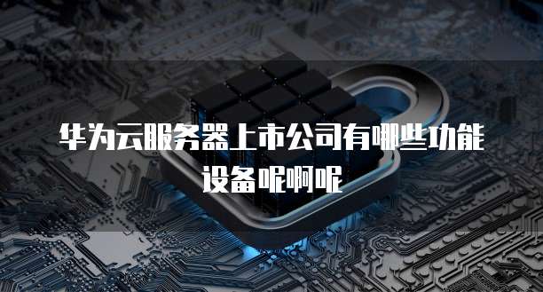华为云服务器上市公司有哪些功能设备呢啊呢