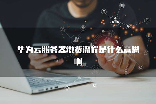 华为云服务器缴费流程是什么意思啊