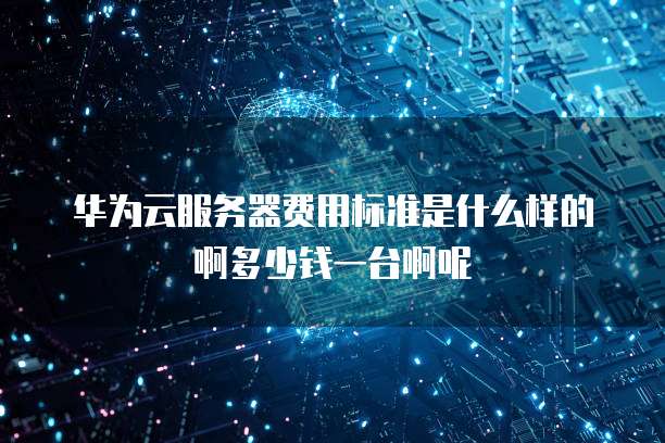 华为云服务器费用标准是什么样的啊多少钱一台啊呢