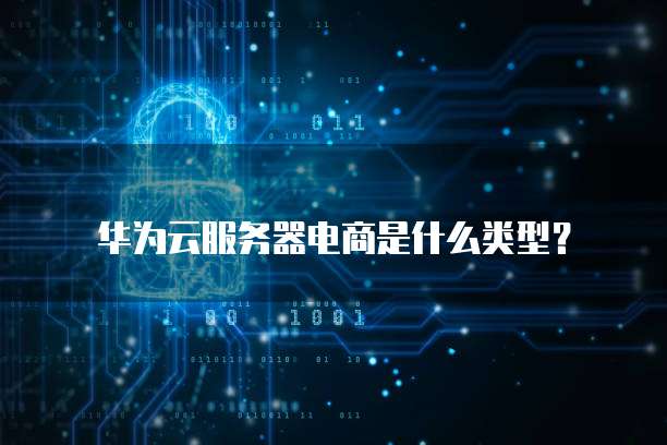 华为云服务器电商是什么类型?