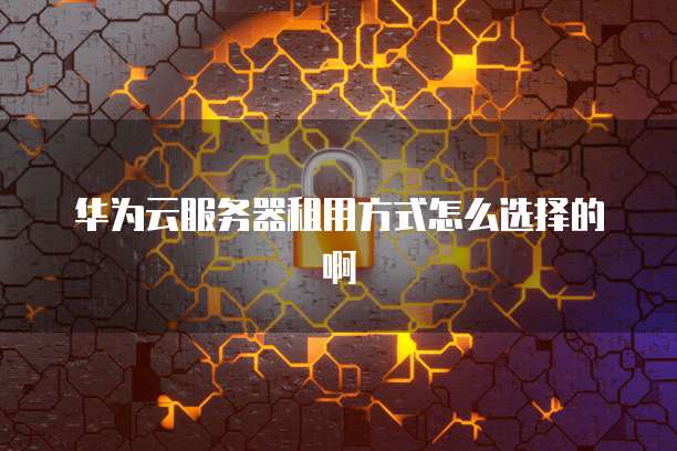 华为云服务器租用方式怎么选择的啊