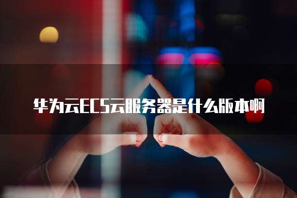 华为云ECS云服务器是什么版本啊