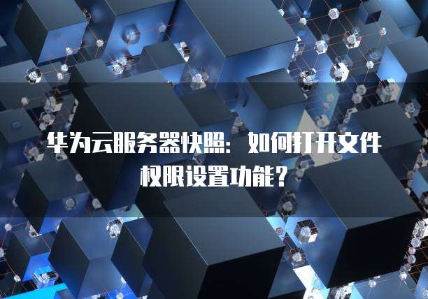 华为云服务器快照：如何打开文件权限设置功能？