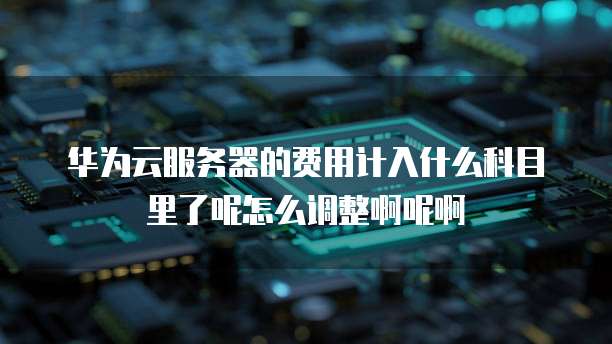 华为云服务器的费用计入什么科目里了呢怎么调整啊呢啊