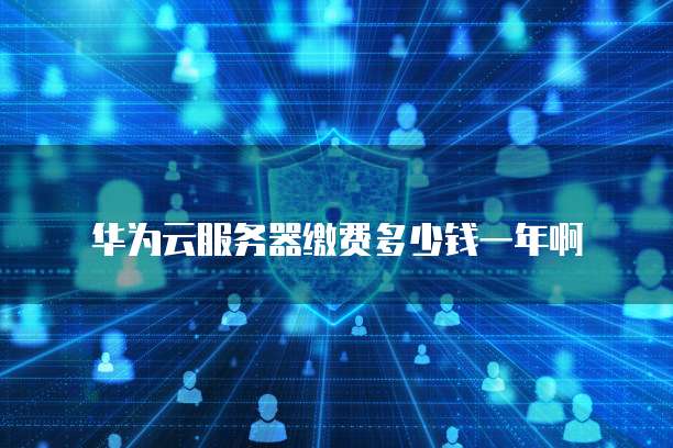 华为云服务器缴费多少钱一年啊
