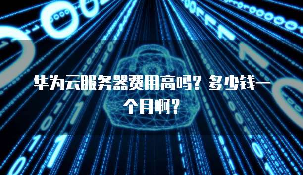 华为云服务器费用高吗?多少钱一个月啊?