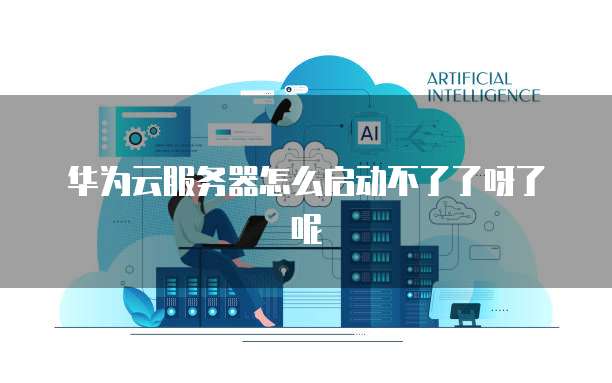 华为云服务器怎么启动不了了呀了呢