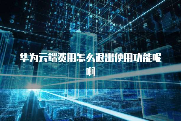 华为云端费用怎么退出使用功能呢啊