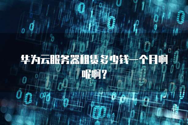 华为云服务器租赁多少钱一个月啊呢啊?