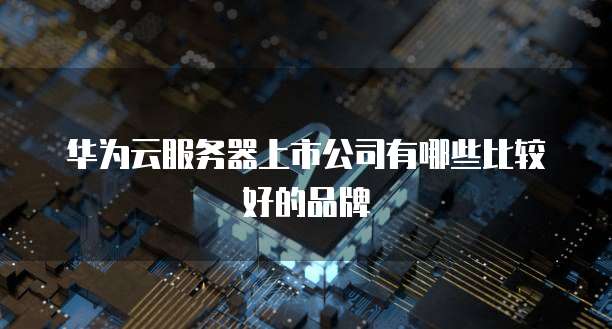 华为云服务器上市公司有哪些比较好的品牌