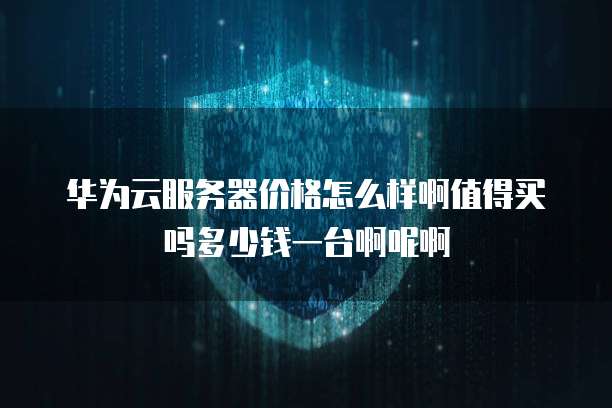 华为云服务器价格怎么样啊值得买吗多少钱一台啊呢啊