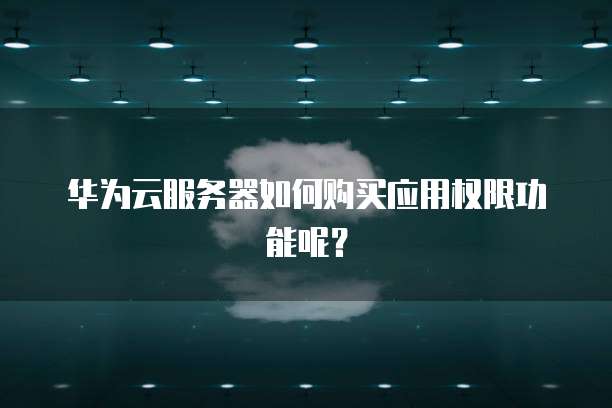 华为云服务器如何购买应用权限功能呢?