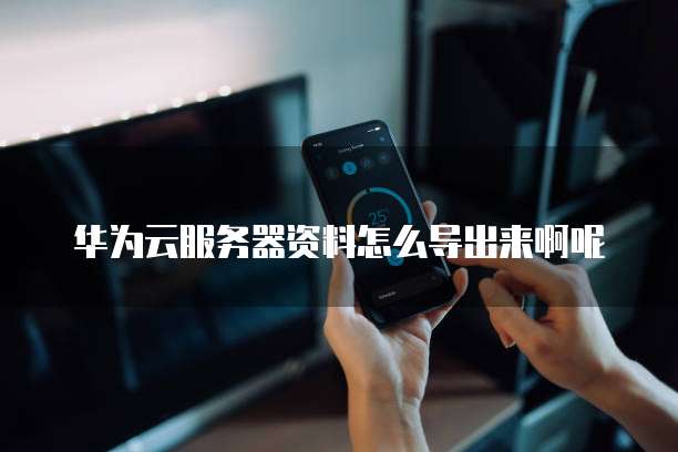 华为云服务器资料怎么导出来啊呢