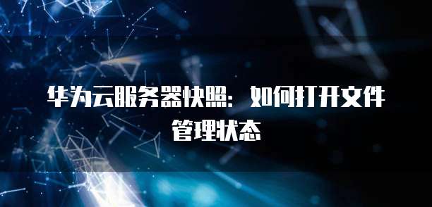 华为云服务器快照:如何打开文件管理状态