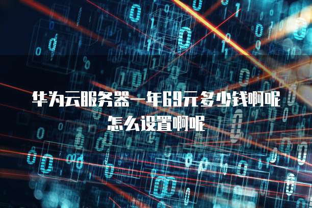 华为云服务器一年69元多少钱啊呢怎么设置啊呢