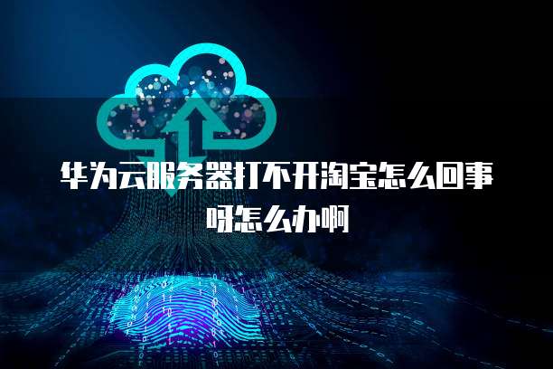 华为云服务器打不开淘宝怎么回事呀怎么办啊