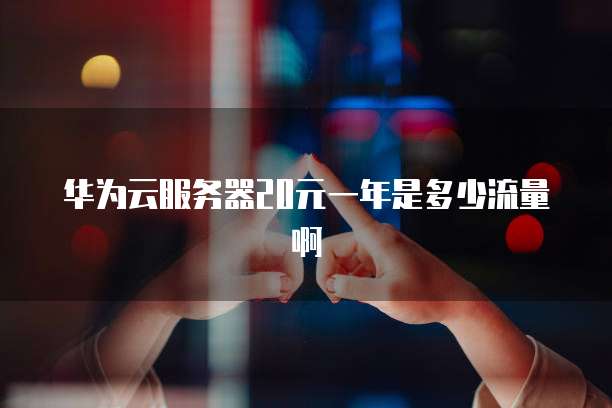 华为云服务器20元一年是多少流量啊