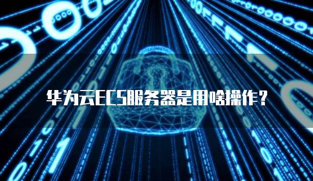 华为云ECS服务器是用啥操作？