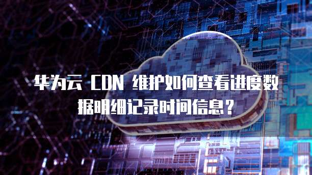 华为云 CDN 维护如何查看进度数据明细记录时间信息?