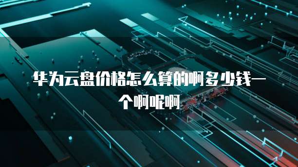 华为云盘价格怎么算的啊多少钱一个啊呢啊