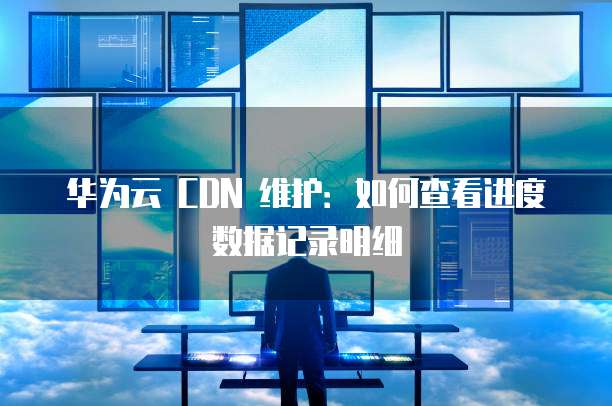 华为云 CDN 维护：如何查看进度数据记录明细
