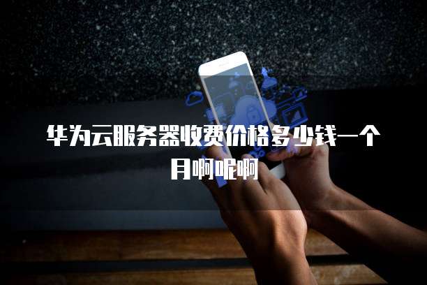 华为云服务器收费价格多少钱一个月啊呢啊