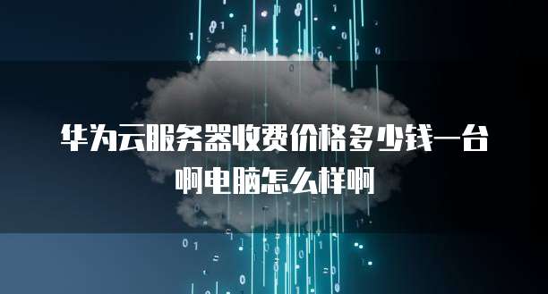华为云服务器收费价格多少钱一台啊电脑怎么样啊