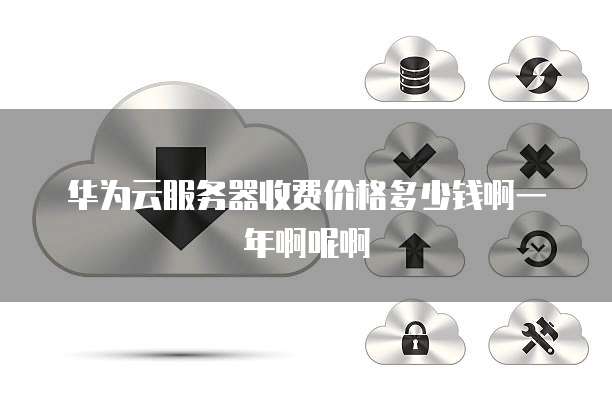 华为云服务器收费价格多少钱啊一年啊呢啊