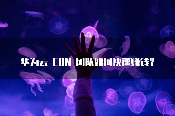 华为云 CDN 团队如何快速赚钱?